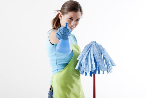 Rug cleaning service for Kingston homes and apartments