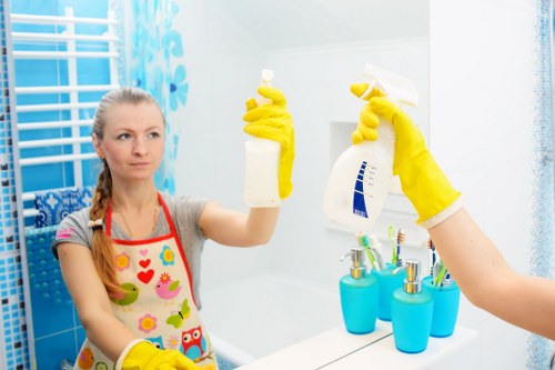 Accessible carpet cleaners Kingston website section