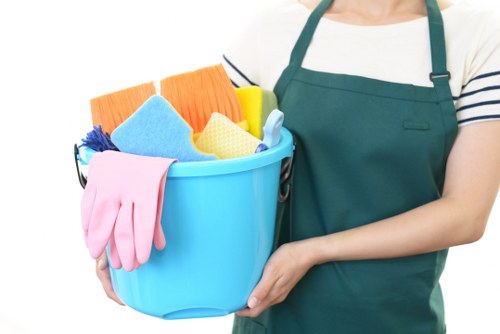 Professional hard floor cleaning service for Kingston homes and commercial properties