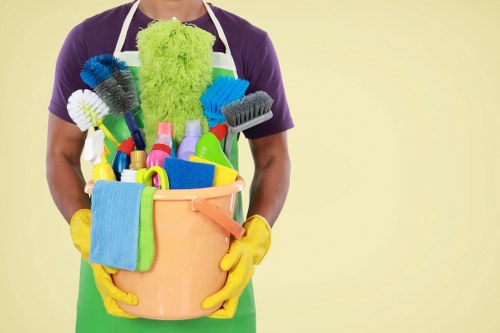 Gutter cleaning service for Kingston homes and properties