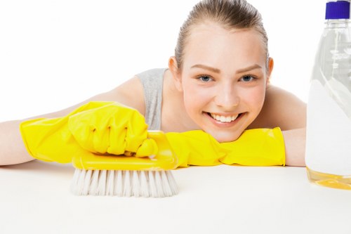 Scheduled cleaning visit for a Kingston property with everyday upkeep