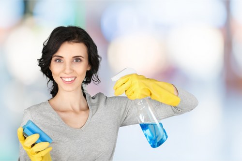 Final tenancy cleaning in Kingston for a residential or commercial property