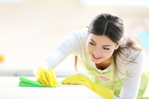 Carpet cleaning equipment and workspace safety check in progress