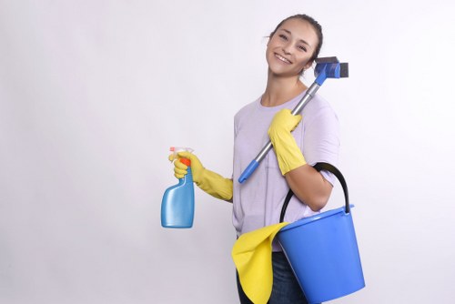 Thorough bathroom cleaning during a move in clean in Kingston