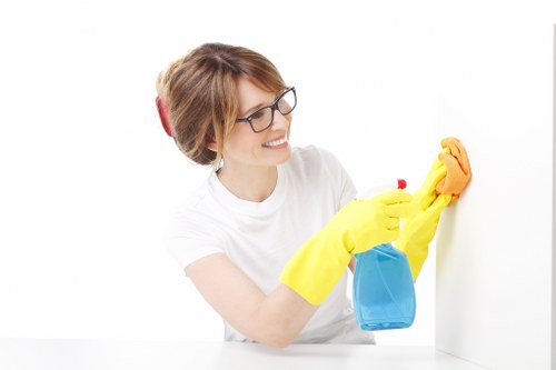 Kingston furniture cleaning service for sofas and chairs