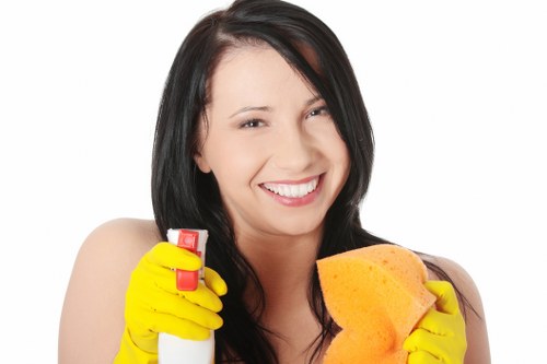 Detailed bathroom deep cleaning for Kingston customers