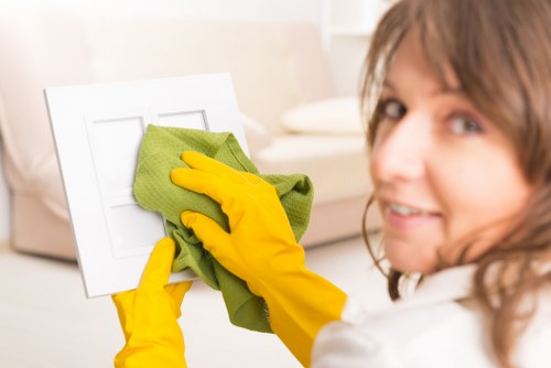 Local oven cleaner working in a Kingston apartment kitchen