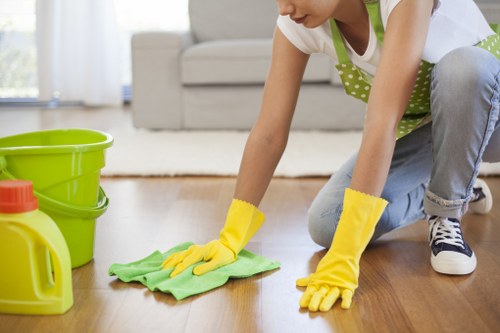 Professional inspection and pre-treatment for a rug