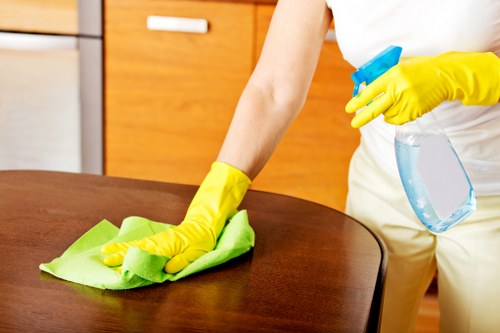 Deep cleaning support for a Kingston property with family use