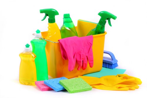 Cleaner preparing a home cleaning visit in Kingston with access details