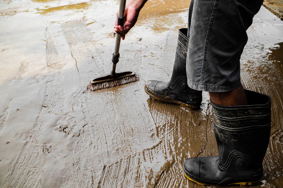 A person wearing black rubber boots and dark pants is using a long-handled broom to sweep and smooth wet concrete on an outdoor driveway surface. The driveway consists of large, rectangular concrete slabs with visible expansions joints, some areas appearing freshly poured and still wet. The wet surface reflects light, indicating a recent cleaning or sealing process. The setting is outdoors, with natural lighting illuminating the area, and the background shows a partially visible ground with some dirt and gravel. This scene illustrates the surface cleaning and maintenance of a driveway, highlighting the importance of proper preparation to prevent issues like dampness or damage, as discussed on the page about hidden problems caused by driveway cleaning at Carpet Cleaners Kingston.